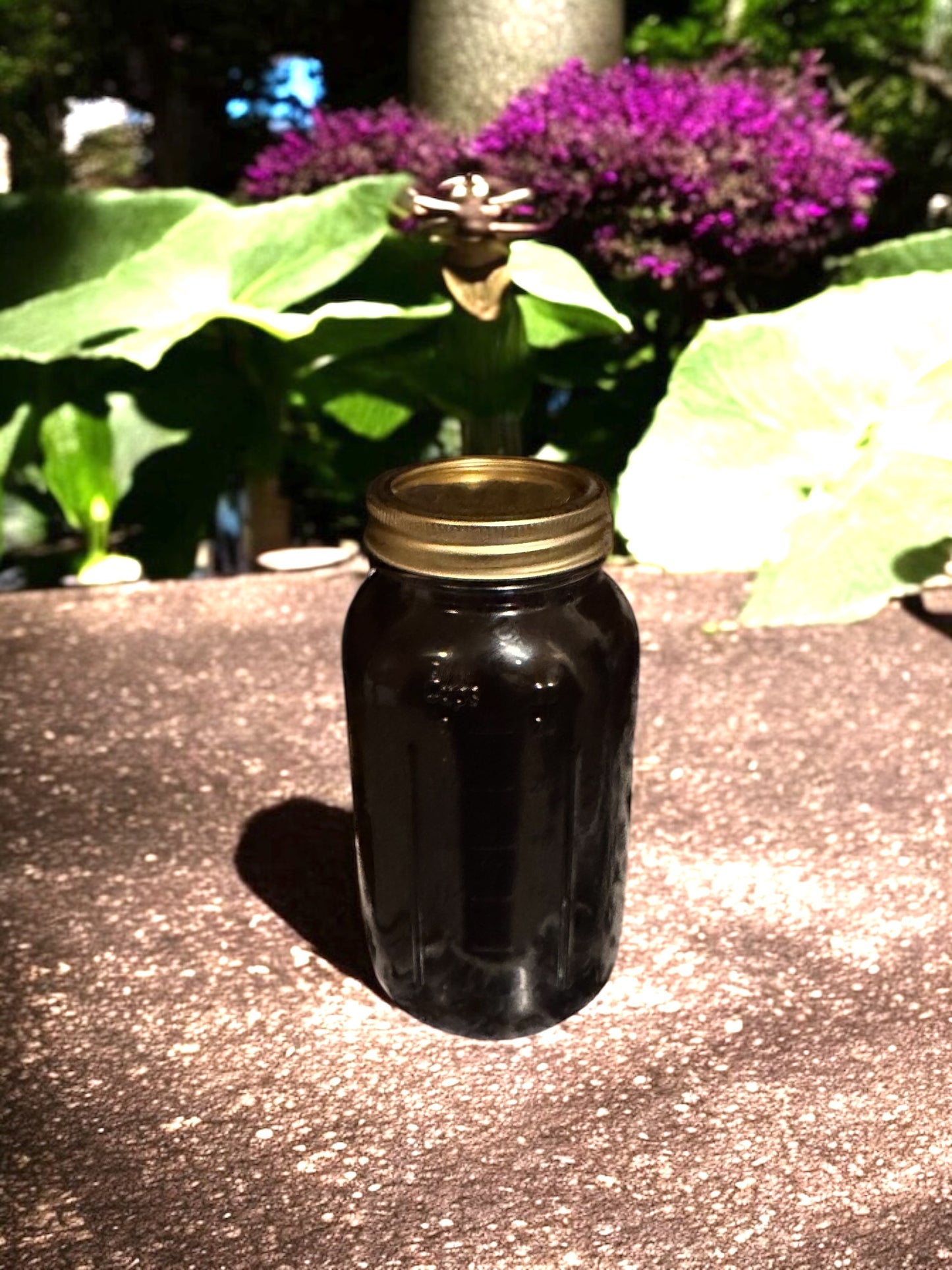 Elderberry Syrup 16oz to 32oz