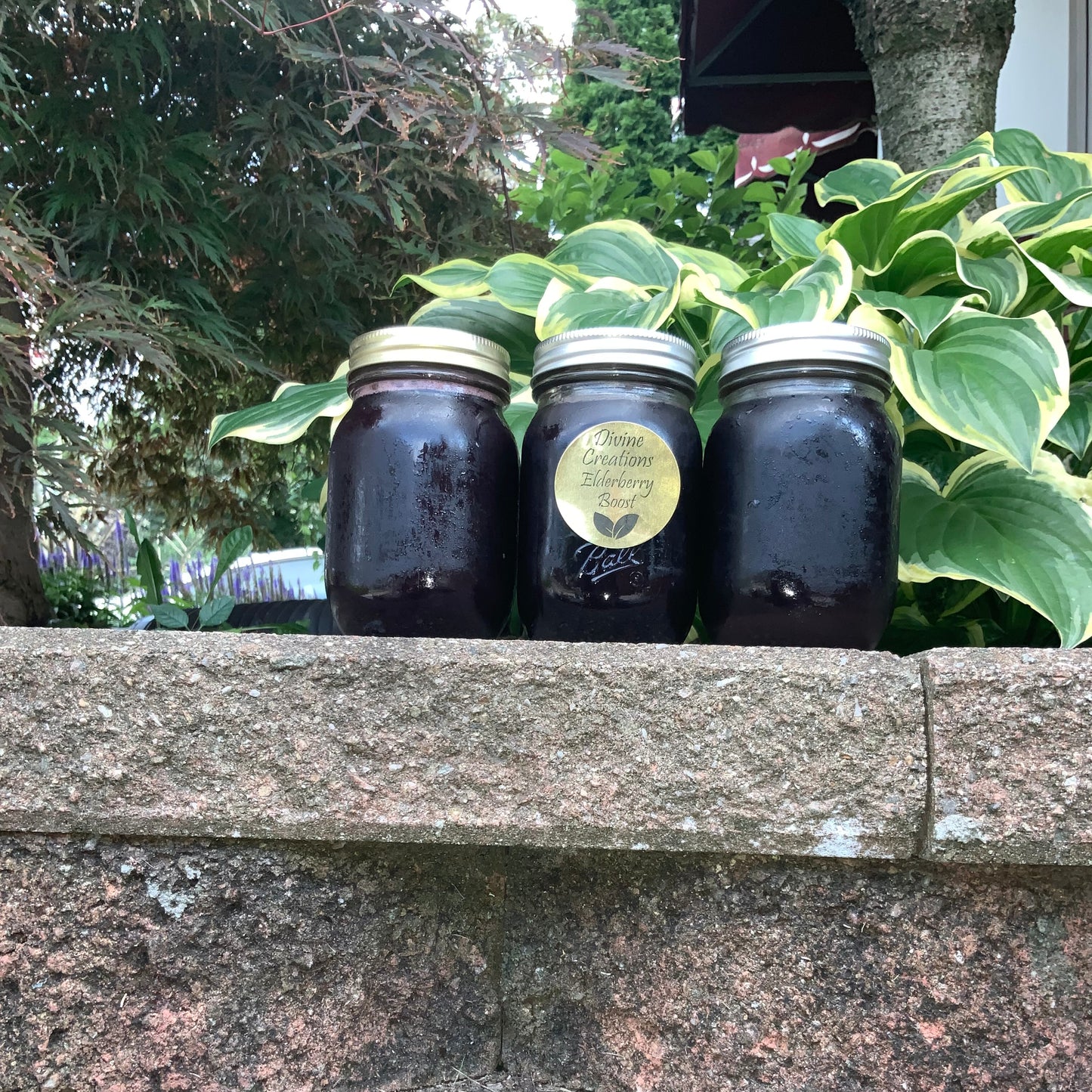 Elderberry Syrup 16oz to 32oz