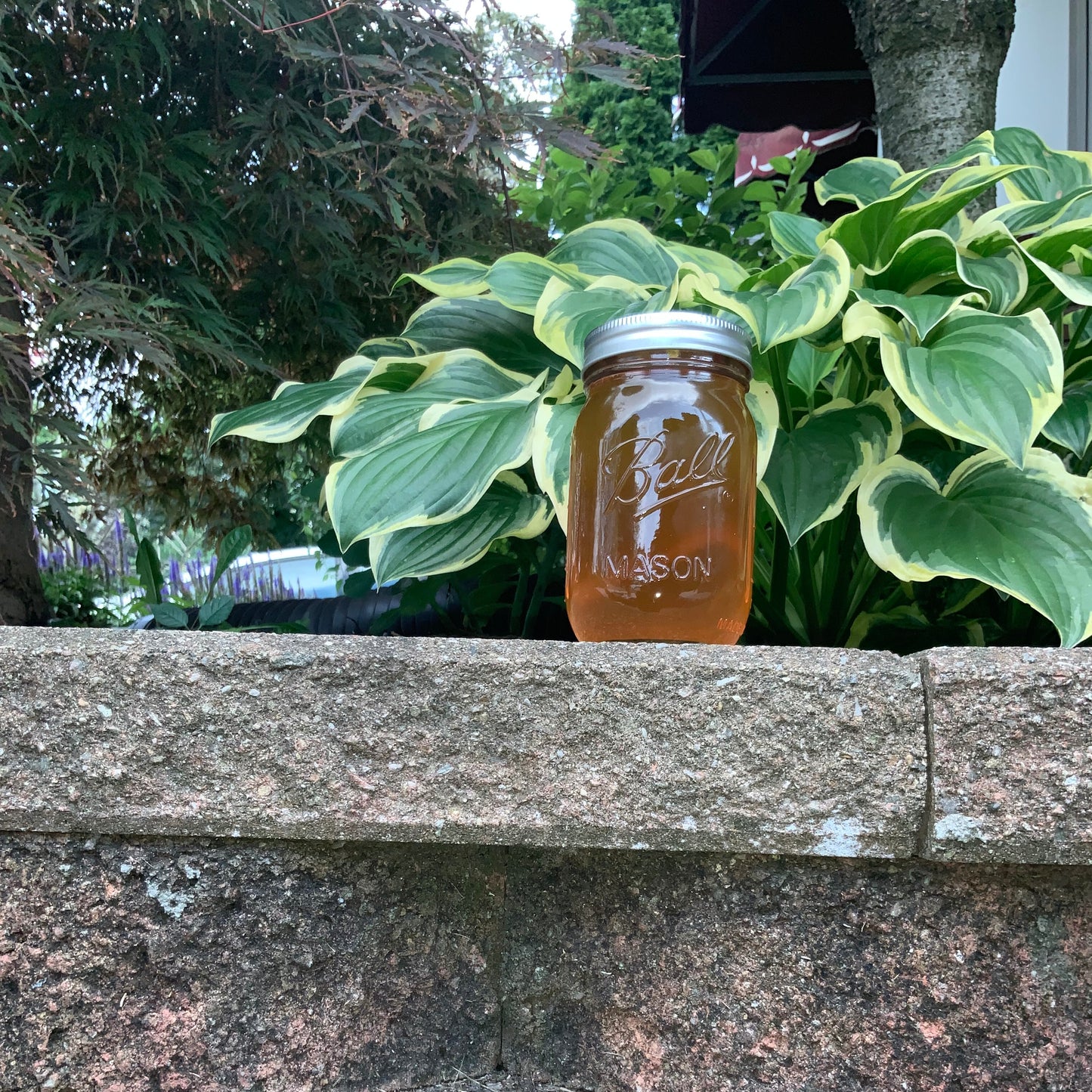 Raw Wildflower Honey-1.5lbs