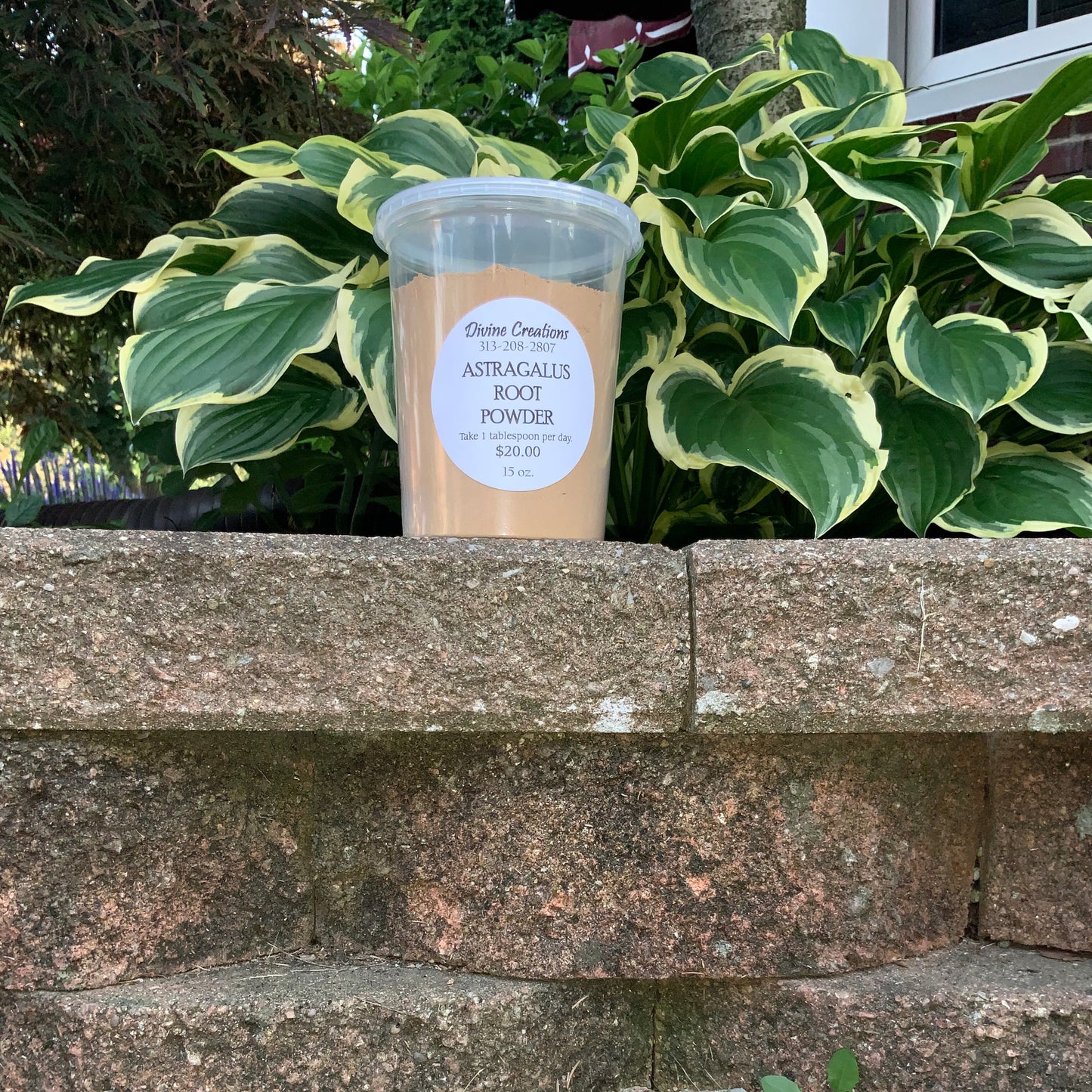 Astragalus Root Powder 8.5oz