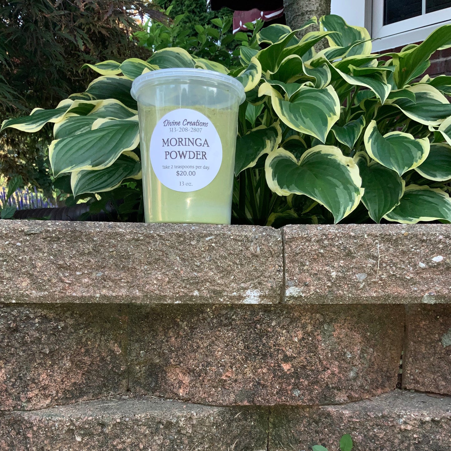 Moringa Powder 5.5oz