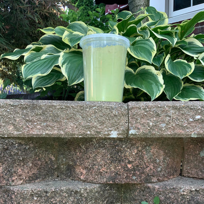 Moringa Powder 5.5oz
